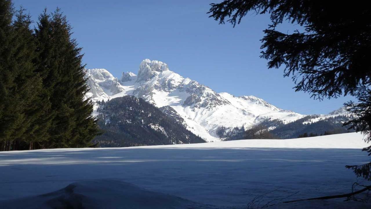 Berg Chalet Annaberg im Lammertal Bagian luar foto