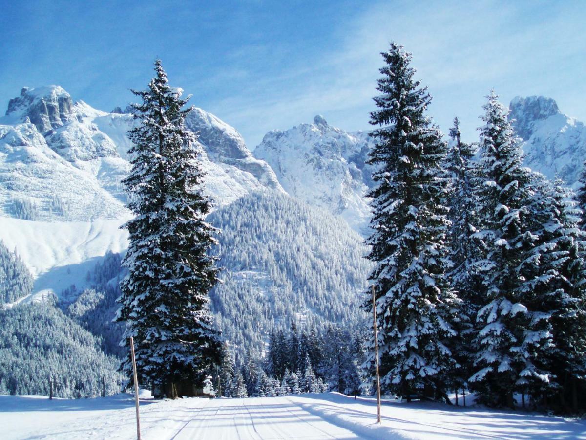 Berg Chalet Annaberg im Lammertal Bagian luar foto